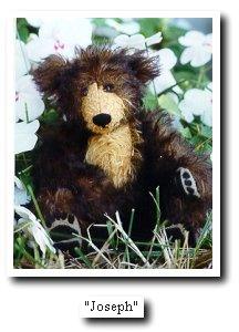 Teddy bear Joseph