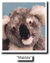 matilda le Koala